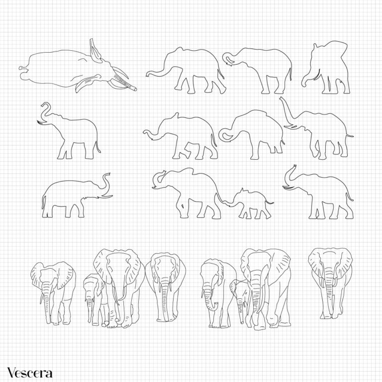 CAD African elephants - Vescera Studio